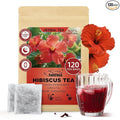FullChea - Hibiscus Tea Bags, 1.5g*120 Counts - Te De Flor de Jamaica, Hibiscus Flowers Tea for Daily Wellness - Non-GMO - Caffeine-free - Rich in Antioxidants & Support Digestion