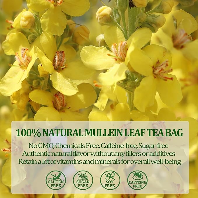 Mullein Leaf Tea, Mullein Leaf Tea Bags for Respiratory, Natural Mulleins Teas for Lung, Natural Herbal Teas, Caffeine-free, Sugar-free (Mullein Tea)