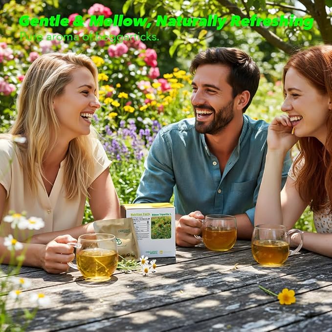 Soilmount - Beggarticks Tea - |Bidens Tripartita|Trifid Bur-marigold|Bidens Tripartita L.|Trifid Bur-marigold|Gui Zhen Cao|鬼针草|귀신침 초| - Pure Herbal Tea - Natural, Organic, Non-GMO, Clean Ingredients, Caffeine Free (18 Tea Bags, Box 1)