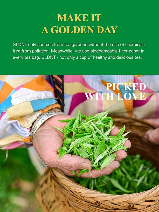 GLDNT Organic Decaf Green Tea, Organic Decaffeinated Green Tea Loose leaf, Delicate & Smooth Flavor, Hot & Iced Tea, 16 Ounce