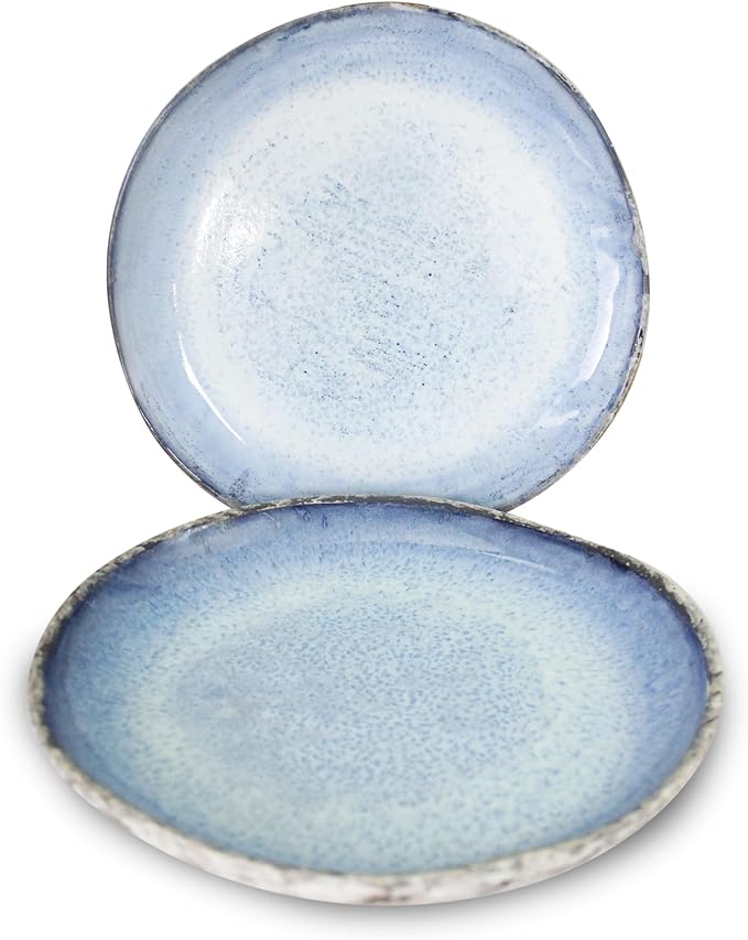 roro Rustic Coral Handmade Ceramic Stoneware Dinner Plates and Bowls, Reactive Blue Set of 2, Textured Finish (Coral, Dinner Plate)
