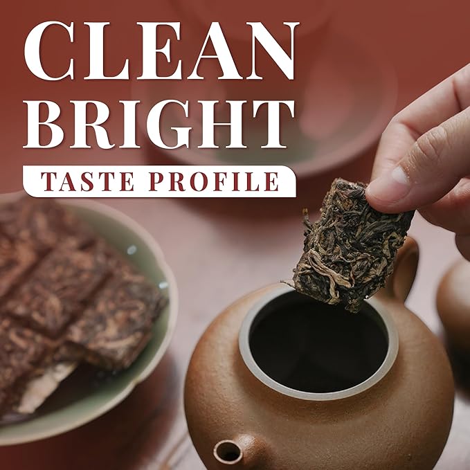 Pu-erh Tea Cake 36g | Brew Once, Drink All Day | Coffee Alternative for Work & Deep Focus | 6 Breakable Pieces, No Tools Needed | Raw (Sheng) Pu-erh Tea | Ancient Tree Tea from Vietnam | Chill Cham Clear