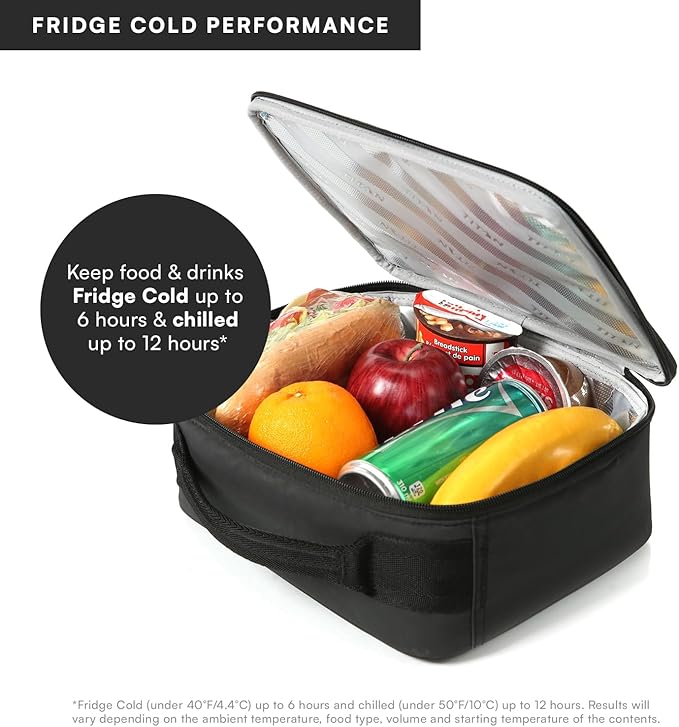 Titan by Arctic Zone Fridge Cold Lunch Box with 2 Gel Ice Packs, Small Insulated Cooler Bag with Leak Proof Lining for School and Work, Black Ice