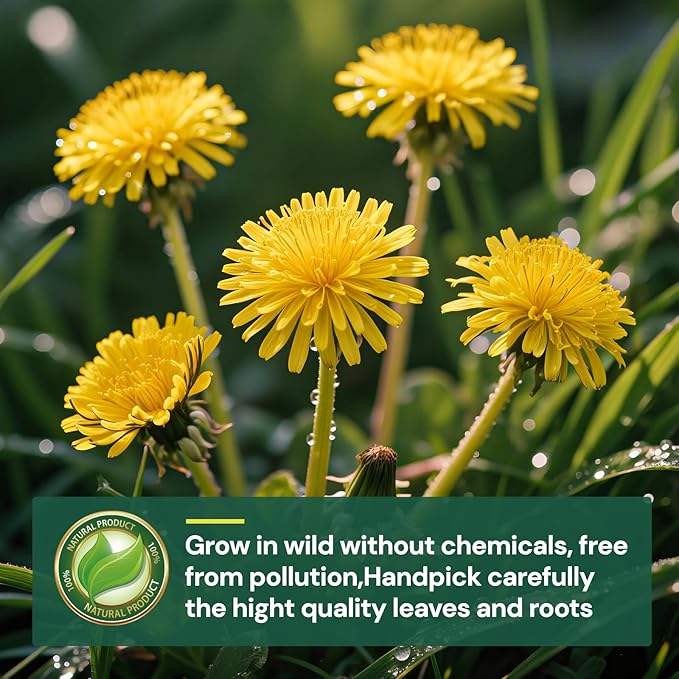 Dandelion Leaf and Root Tea Bag, Natural Dandelion Roasted Herbal Detox Teabag for Liver & Kidney Health, Support Digestion Dandelion Root Tea, Caffeine Free, No Additives（50 Teabags)