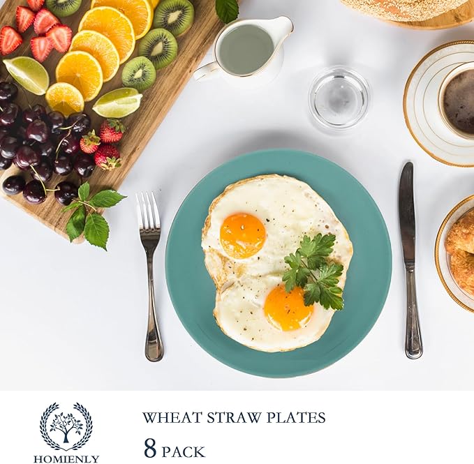 Homienly Flat Dinner Plates Set of 8 Alternative for Plastic Plates Microwave and Dishwasher Safe Wheat Straw Plates for Kitchen Unbreakable Kids Plates with 4 Colors (Multi,10 inch)