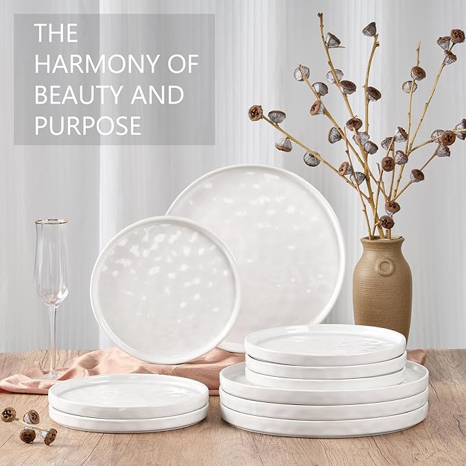LIANYU Ceramic Plates Set for 4, 10.2In Porcelain Dinner Salad Appetizer Plates for Kitchen, Modern Round Stoneware Dining Dish Set, Scratch Resistant, Microwave, Oven and Dishwasher Safe, Polar White