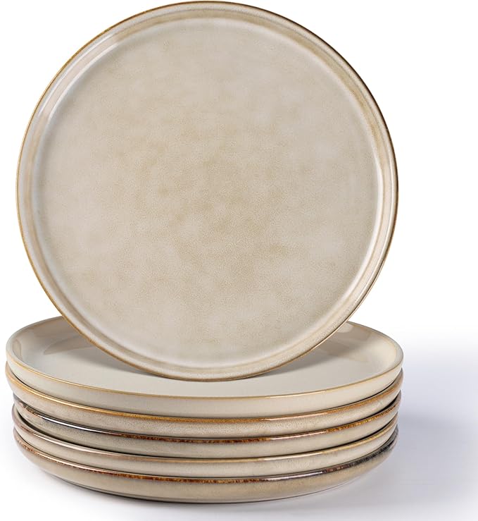 AmorArc Ceramic Plates Set of 6, 8.5 Inch Reactive Glaze Stoneware Plates set, Dessert, Salad, Appetizer, Small Dinner, Microwave, Dishwasher Safe, Scratch Resistant Dishes Set for Kitchen
