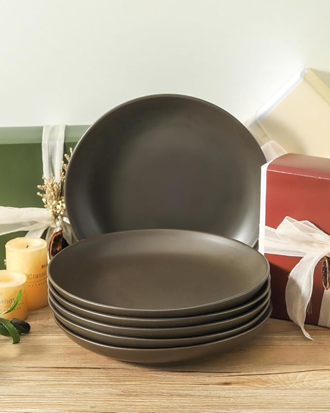 Ceramic Plate，10 Inch Dinner Plate, Black Plate Set of 6 for Steak, Noodle, Microwave Oven and Dishwasher Safe, Matte Black