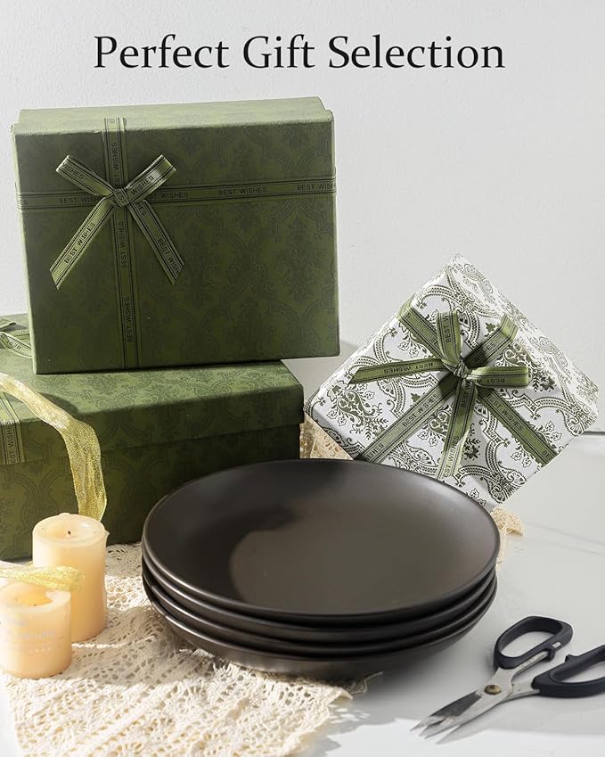 Ceramic Plate，10 Inch Dinner Plate, Black Plate Set of 4 for Steak, Noodle, Microwave Oven and Dishwasher Safe, Matte Black