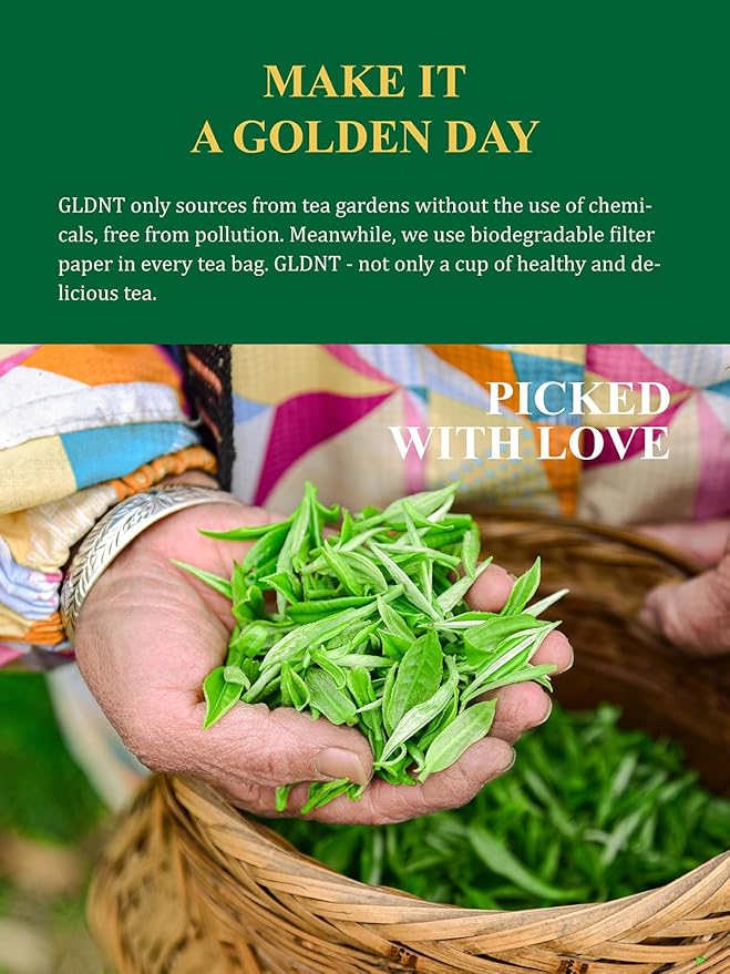 GLDNT Organic Green Tea, Loose Leaf, High Mountain, Smooth & Delicate Flavor, Caffeinated, 16oz