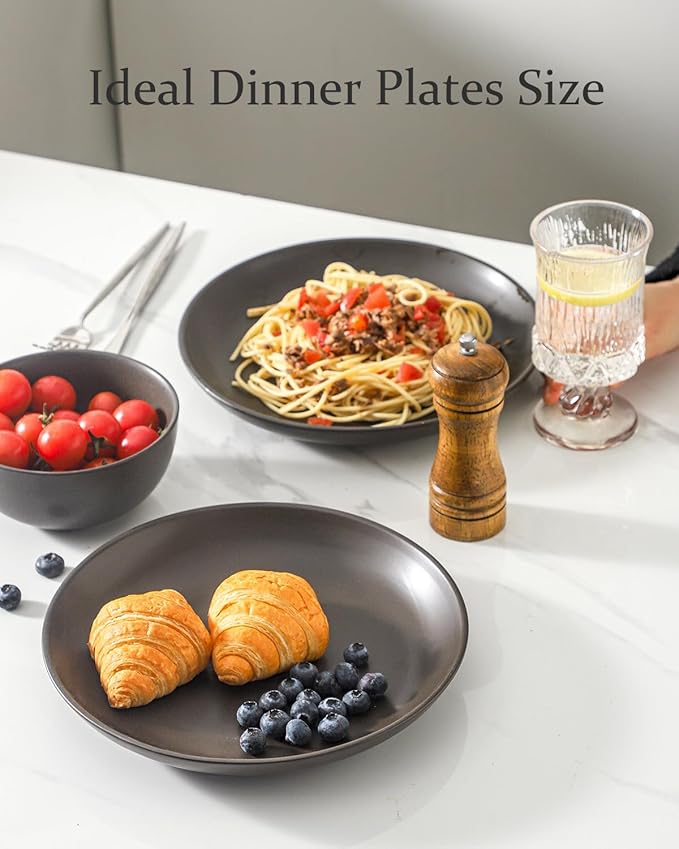 Ceramic Plate，10 Inch Dinner Plate, Black Plate Set of 4 for Steak, Noodle, Microwave Oven and Dishwasher Safe, Matte Black