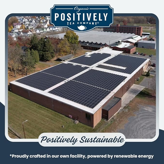 Organic Positively Tea Company, Decaf English Breakfast Black Tea Bags, 100 Count, Eco-Friendly Tea Bags, Non-GMO