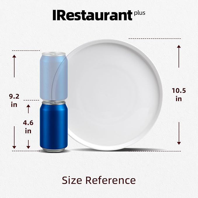 Bone China Cone Shape Commericial Grade Dinnerware Plate 10.5inch, Case of 12