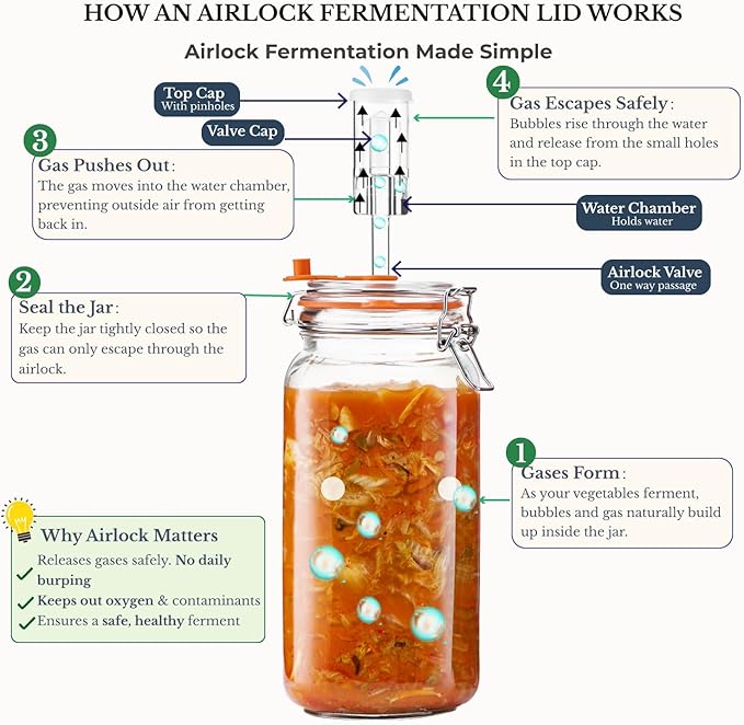 JILLMO Wide Mouth Glass Fermentation Jar with Airlock & Glass Weight, 2L (64oz) Fermenting Jar for Sauerkraut, Kimchi, Pickles & More,Pack of 2