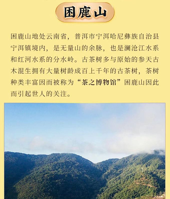 Pu-Erh tea,2020,SHENG JIA YUAN,困鹿山 Sleepy Deer Mountain,357g,Raw