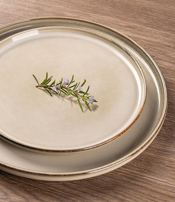 AmorArc Ceramic Plates Set of 6, 8.5 Inch Reactive Glaze Stoneware Plates set, Dessert, Salad, Appetizer, Small Dinner, Microwave, Dishwasher Safe, Scratch Resistant Dishes Set for Kitchen