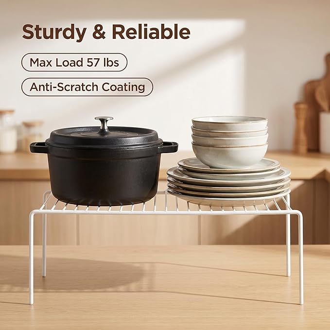 iPEGTOP Large (15.7 x 9.4 Inch) Kitchen Freezer Cabinet Storage Shelf, Set of 4 Rustproof Metal Wire Shelves Spice Shelf Rack Cupboard Organizer for Fridge Pantries Countertops Utensils, White