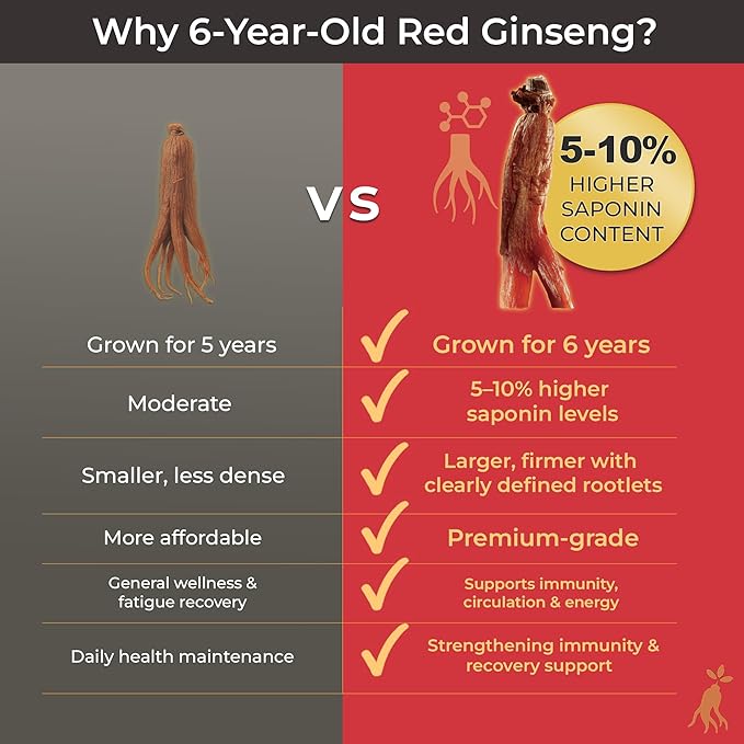 SamSiDae Korean Red Ginseng Tonic – 6-Year Grown Roots with Jujube & Cornus Fruit Extract – Caffeine-Free Herbal Supplement – Supports Energy and Immune Health – 20 Convenient Daily Pouches