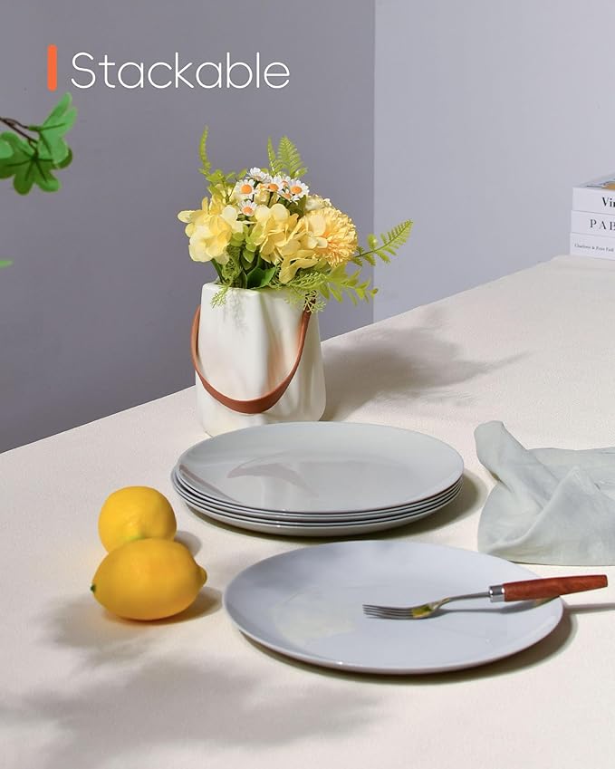 LaGlint 10.5 inch Dinner Plate Set of 6, Lightweight Round Opal Glass Grey Dinnerware Plates, Dishwasher and Microwave Safe