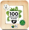 Koala love Palm Leaf Plates Bamboo Plates Disposable Square 8 inch 100 Bulk Party Pack Elegant Sturdy Design Better Than Paper and Plastic (KoalaLove-PLP-8IN-100-Plates)