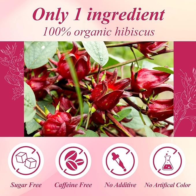 WT WEETEE Organic Hibiscus Tea Bags 100 Count, Caffeine-Free Herbal Tea for Hot & Cold Brew, 100% Pure Hibiscus Flowers, Balanced Tartness, Refreshing Iced Tea
