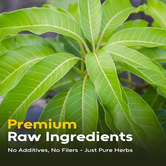 FullChea - Mango Leaf Tea, 60 Teabags - Premium Dried Mango Leaves - Natural Herbal Tea for Relaxation & Wellness - Non-GMO - Caffeine-Free - Support Digestive Comfort