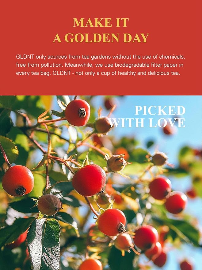 GLDNT Organic Rosehips Tea, Premium Dried Organic Rose Hips Tea Loose Leaf, Fruity Flavor and Aroma, Whole, Caffeine Free, 16oz