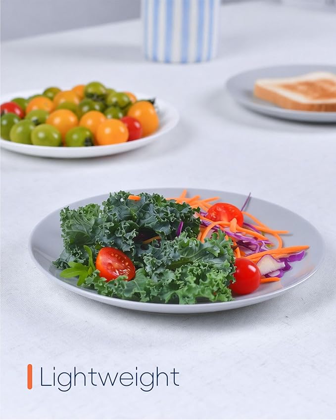 LaGlint 8.5 inch Salad Plate Set of 6, Lightweight Opal Glass Round Grey Plates for Appetizer Dessert Kitchen, Dishwasher and Microwave Safe