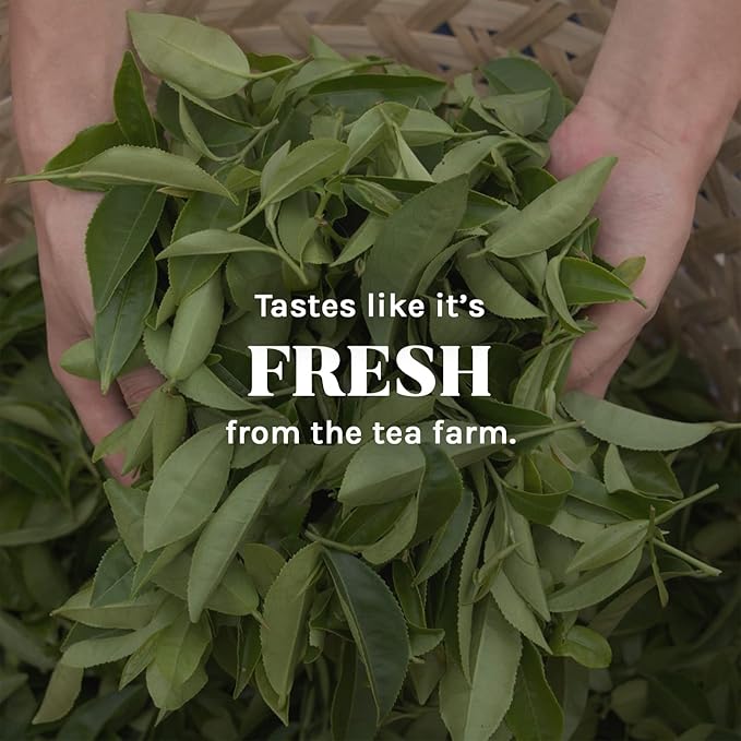 Uncle Lee's Tea Organic Pu-Erh Tea, 100% Natural Chinese Tea, Fresh & Full Earthy Flavor, Enjoy as Hot Tea or Iced Tea Beverages, Coffee Alternative, 2 Pack - 18 Tea Bags per Box