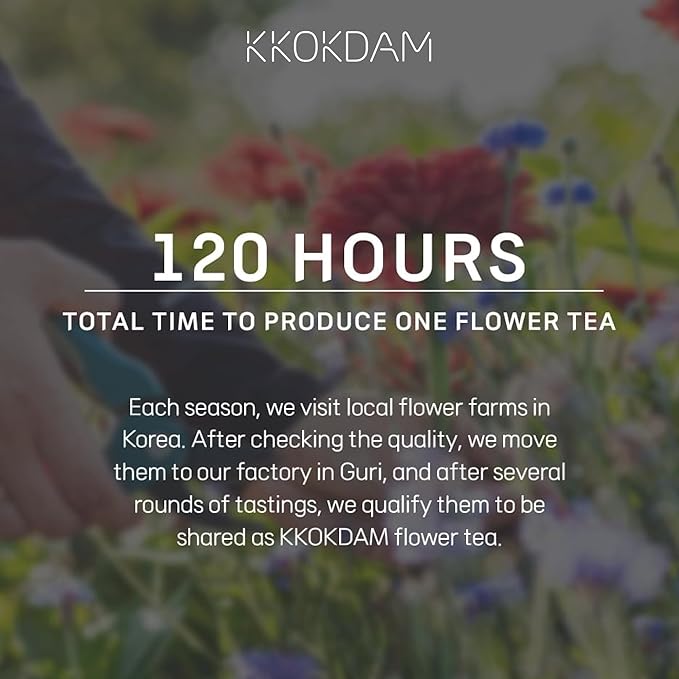 KKOKDAM Kombucha Tea - Grapefruit & Hibiscus Korean Tea - Kombucha Drinks Probiotic Support, Low Calorie, Sugar Free Kombucha Pack - 500g Bulk Pouch
