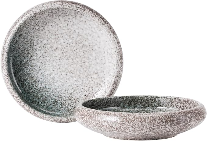 Uaral Salad Plate 8 Inch Stoneware Serving Dishes,Japanese Pasta Bowl Set of 2,20 oz (Emerald Green)