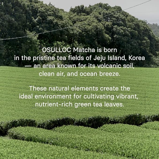 OSULLOC Volcanic Isle Matcha Powder, Ceremonial Grade Korean Matcha, Green tea powder from Jeju Island (1.41oz, 40g)
