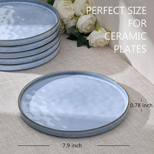 LIANYU 6PCS Ceramic Flat Dinner Plates Set, Porcelain Salad Appetizer Dishes with High Edge, 7.9” Dessert Plates Set, Microwave, Oven, dishwasher Safe, Chip & Scratch Resistant, Serenity Blue