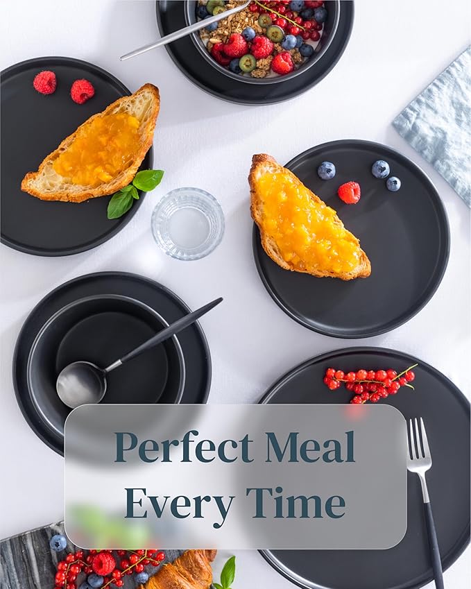 Stoneware Dinner Plates Set - Matte Black, 10.2" Lipped Edges, Dishwasher & Microwave Safe