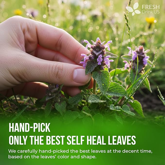FreshDrinkUS, Premium Self Heal Leaves Loose Leaf Tea – 4oz (113g) Cut & Dried Herbal Leaves | Naturally Aromatic | Caffeine-Free Herbal Infusion | 100% Natural Loose Leaves. Preservative-Free. Vegan