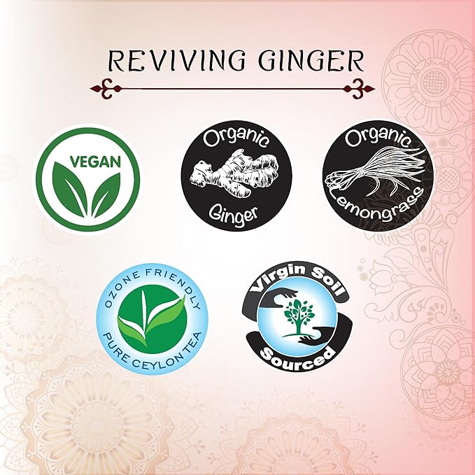 TERAPY Ceylon Ginger and Honey Tea – Premium Blend of Organic Ginger, Wild Bee’s Honey, Ashwagandha, and Lemongrass – Honey Citron Tea Bags for Digestive Wellness Immunity and Daily Vitality – 20 Bags