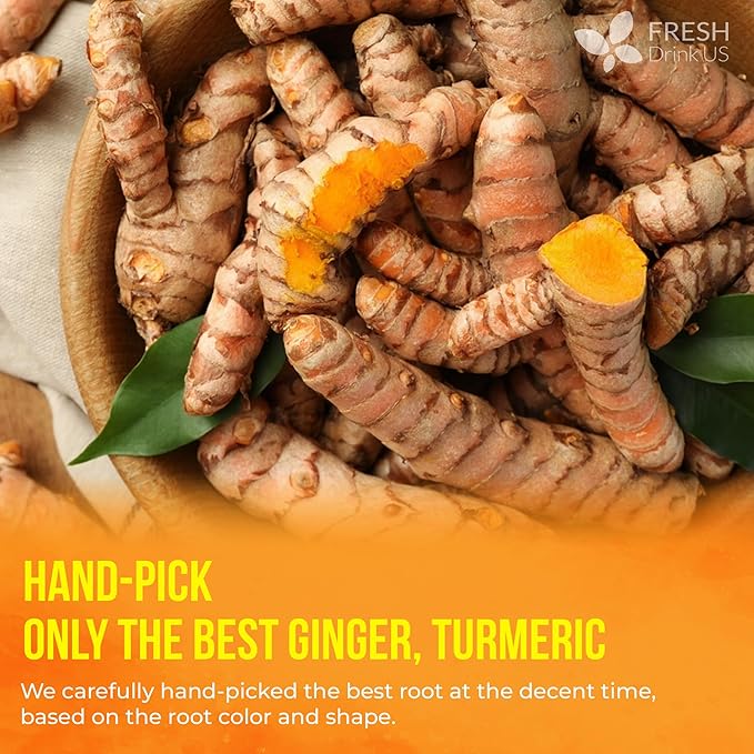 FreshDrinkUS, Premium 210 Ginger Turmeric Tea Bags, 100% Natural Ingredients, Hand-made Blend of Ginger and Turmeric Herbal Tea, Eco-conscious Tea Bags. No Sugar, No Caffeine, No Gluten, Vegan.
