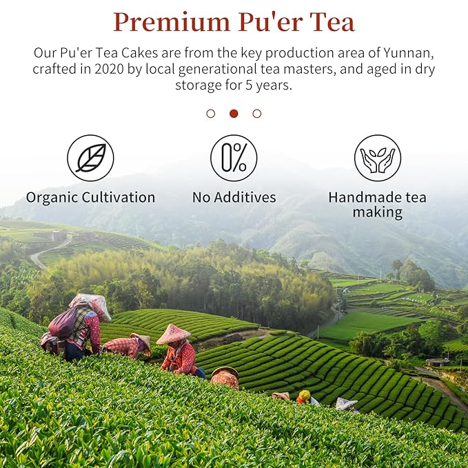 CHADUO Puerh Tea Cake 357g/12.6oz Ripe Pu erh Tea Chinese Fermented Puer Classic Premium Yunnan PuerhTea Aged For 5 Years With Date & Aged Wood Fragrance 普洱茶 熟茶 普洱茶饼