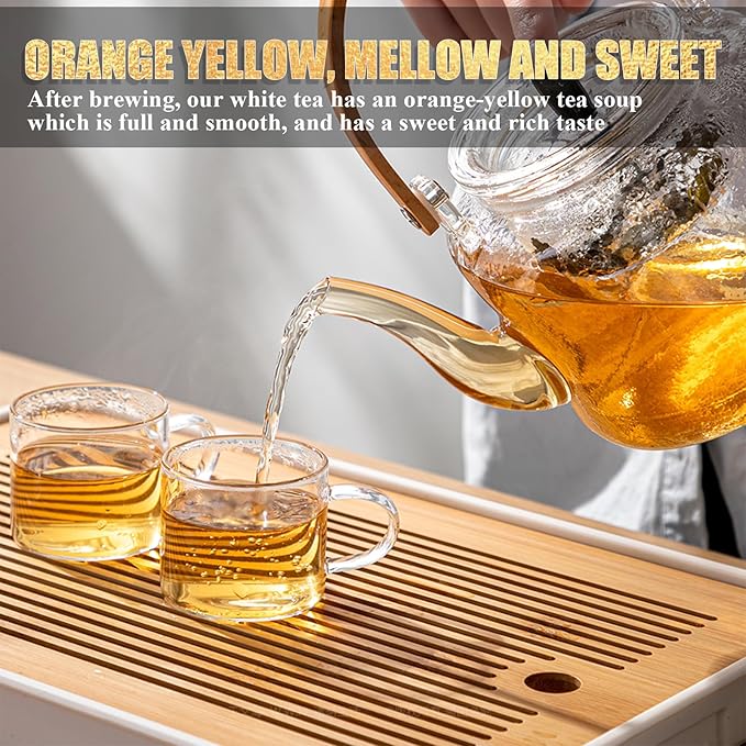 Organic White Tea Mini Brick (36 Packs, 5g Each) - Premium Shou Mei Small Square Discs, Individually Wrapped | Low Caffeine, No Bitterness | Hot or Iced, Perfect for Travel & Office
