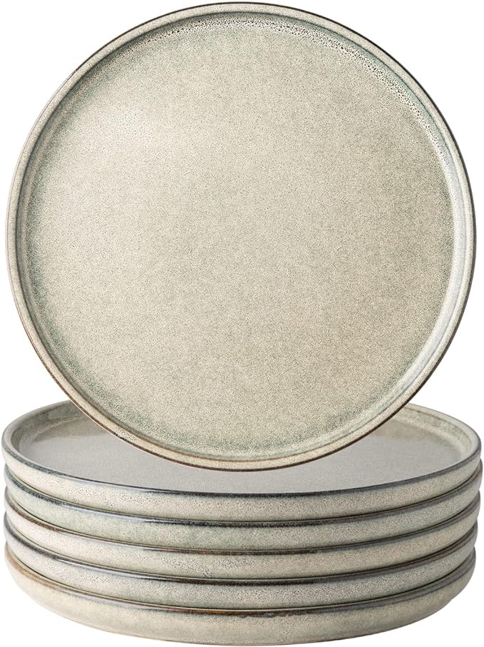 AmorArc Ceramic Plates Set of 6, 8.5 Inch Reactive Glaze Stoneware Plates set, Dessert, Salad, Appetizer, Small Dinner, Microwave, Dishwasher Safe, Scratch Resistant Dishes Set for Kitchen