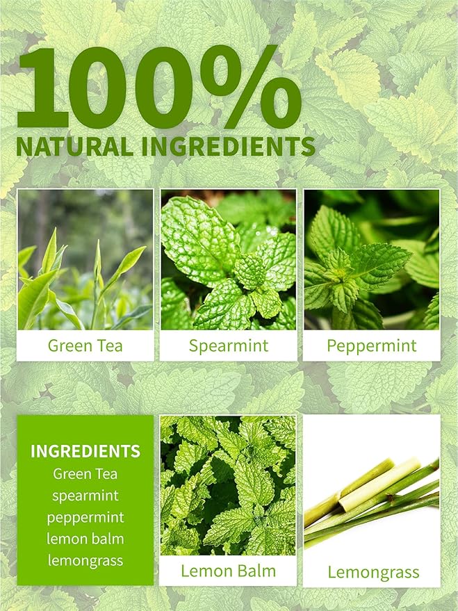 TeeLux Mint Green Tea Bags, Green Tea with Peppermint, Spearmint, and Lemongrass, Large Size for Iced Tea, 30 Count, Corn Fiber Tea Bags