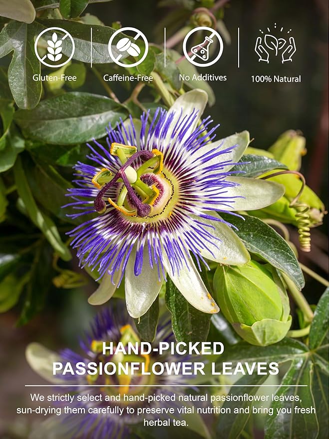 TeeLux Passion Flower Tea Bags, Natural Passionflower Leaf Tea, Smooth & Full-bodied Flavor, Caffeine Free, 100 Count