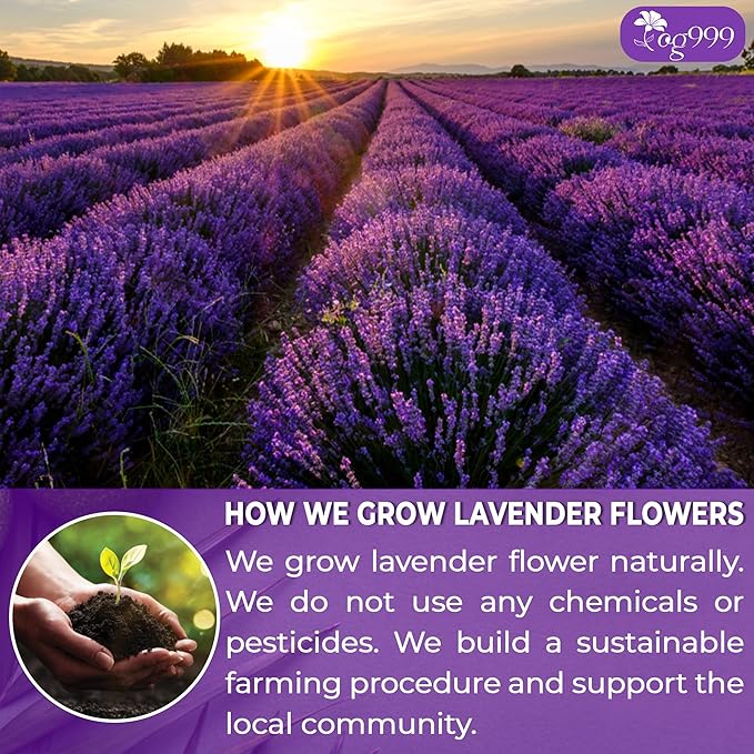 TOG999, Premium 60 Lavender Flower Tea Bags, 100% Natural & Pure. Loose Flower Lavender Herbal Tea. No Sugar, No Caffeine, No Gluten, Vegan.
