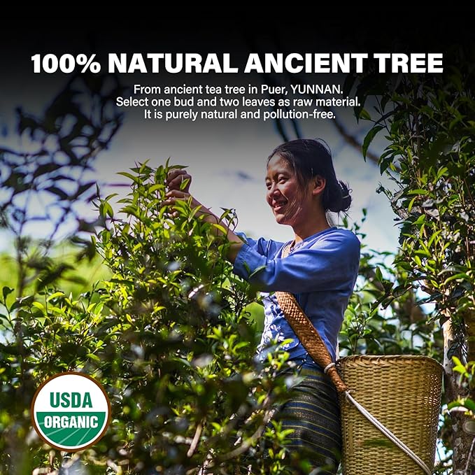 YUANSHENG Organic Raw Puerh Tea, Aged Fermented Organic Pu-erh tea, Natural Yunnan Ancient Tree Pu erh Tea whit Sweet and Smooth Flavor, No Fishy, 5.29 Oz