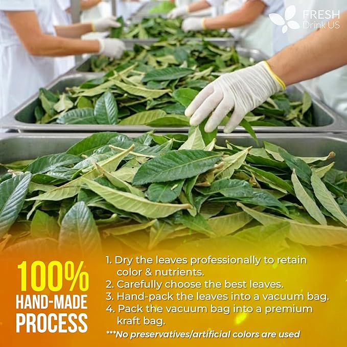 FreshDrinkUS, Premium 8oz Loquat Leaves | Dried Loquat Loose Leaf Tea | Eriobotrya japonica | Naturally Dried, Cut & Sifted | Herbal Tea Ingredient. Sugar-Free. Caffeine-Free. Vegan