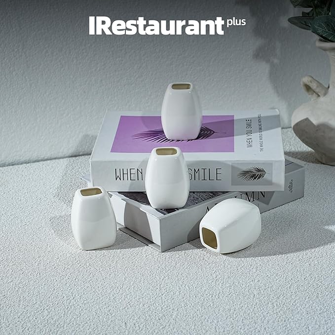 Bone China Wide Rim Commercial Grade Dinnerware Teethpick Holder, Case of 6