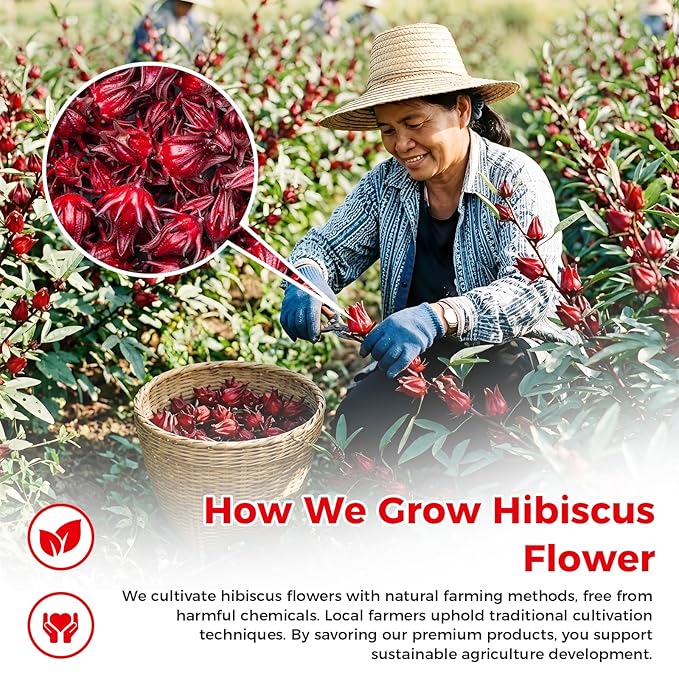 50 Bags Premium Natural Hibiscus Tea, 100% Pure Organic Hibiscus Flowers Herbal Tea, Caffeine-Free, Rich in Natural Goodness and Flavor, No Sugar, Gluten-Free, Vegan