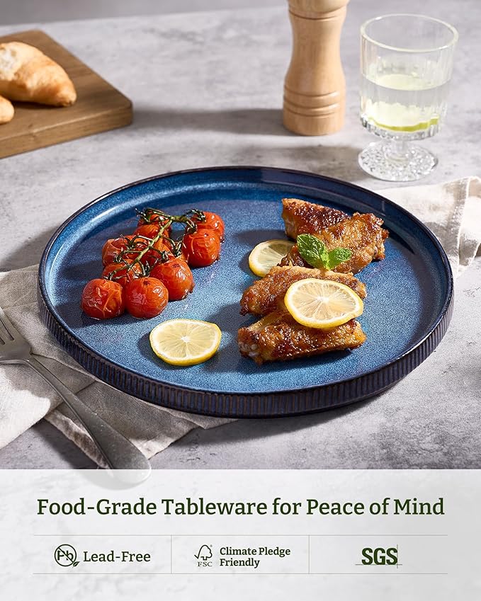 famiware Star Dinner Plates for 6, 10 inches Plate Set, Scratch Resistant, Stoneware Dinnerware, Kitchen Modern Rustic Serving Dishes, Nebulas Blue (Pack of 2)
