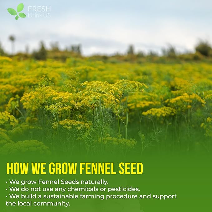 FreshDrinkUS, Premium 75 Fennel Seed Tea Bags – 100% Natural & Pure, Handmade Herbal Tea, Eco-Friendly, Fresh Aroma, Made with Natural Material Tea Bags. No Sugar, No Caffeine, No Gluten, Vegan.