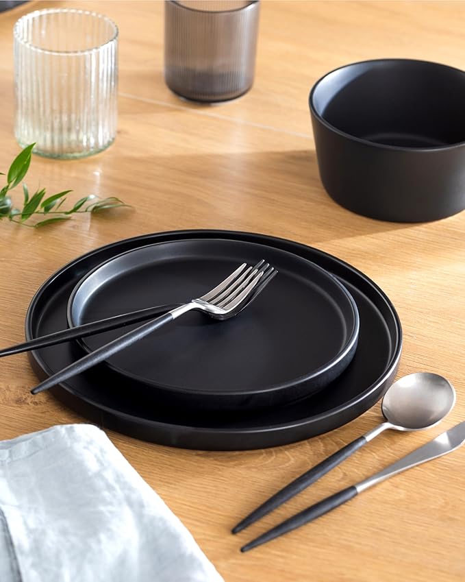 Stoneware Dinner Plates Set - Matte Black, 10.2" Lipped Edges, Dishwasher & Microwave Safe